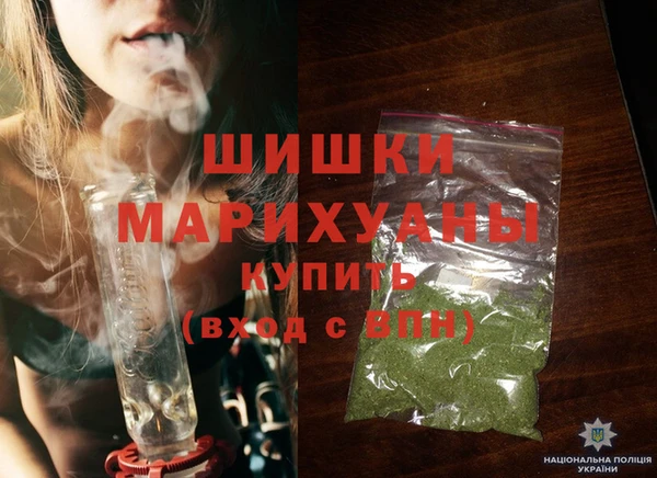 ПСИЛОЦИБИНОВЫЕ ГРИБЫ Новозыбков