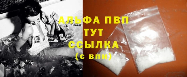 ПСИЛОЦИБИНОВЫЕ ГРИБЫ Новозыбков