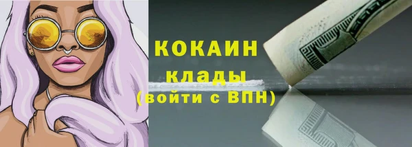 ПСИЛОЦИБИНОВЫЕ ГРИБЫ Новозыбков