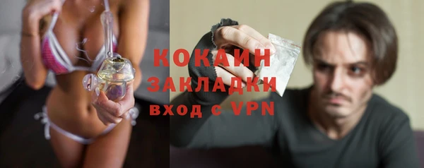 ПСИЛОЦИБИНОВЫЕ ГРИБЫ Новозыбков