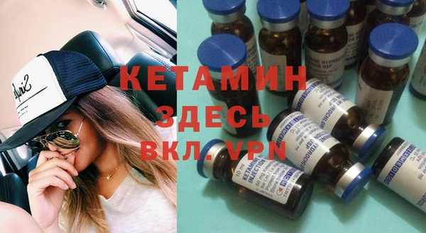 ПСИЛОЦИБИНОВЫЕ ГРИБЫ Новозыбков