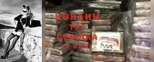 прущая мука Новодвинск