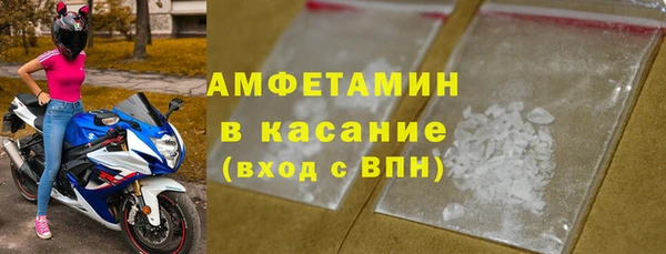 ПСИЛОЦИБИНОВЫЕ ГРИБЫ Новозыбков