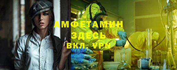 ПСИЛОЦИБИНОВЫЕ ГРИБЫ Новозыбков